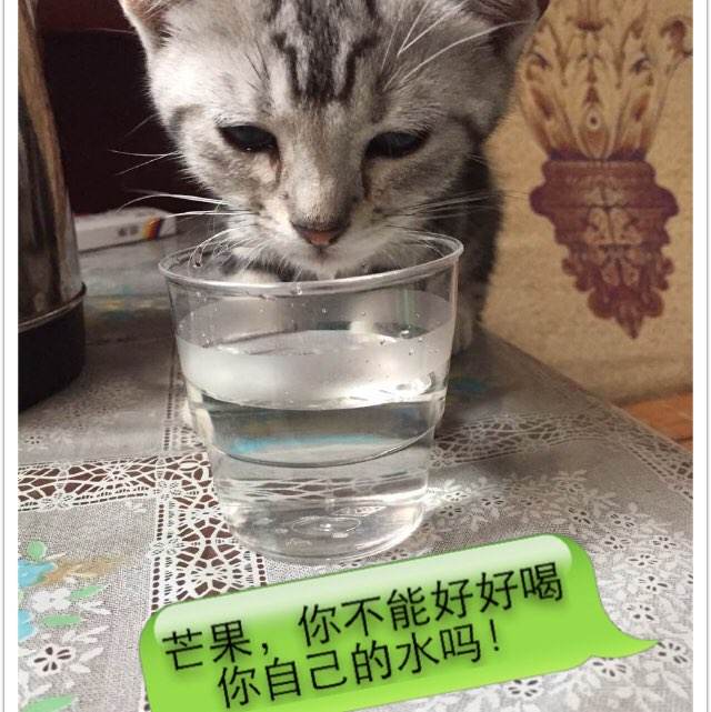 北東製薬大学学历认证办理